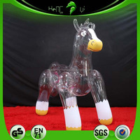 Jouets de piscine gonflables en PVC transparent mignons, cheval Hongyi, matériau souple
