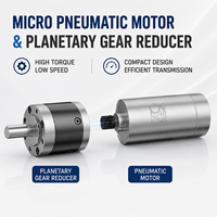 Moteur pneumatique micro QPG42 42 mm avec boîte de vitesses planétaire, couple élevé, vitesse variable, réversible pour l'automatisation industrielle