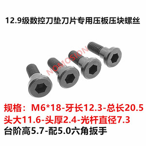 Tornillo de sujeción M6x18 para portaherramientas CBN, cabeza plana, hexagonal, placa de acero, fijador - Product Image 5
