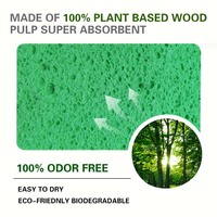 Foamstar 6 PACK Éponge en cellulose compressée biodégradable 100% végétale pour le nettoyage de la vaisselle en cuisine