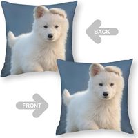 2025 nouveau produit en gros personnaliser taie d'oreiller peau de pêche bricolage votre conception housse de coussin personnalisé Anime corps taie d'oreiller