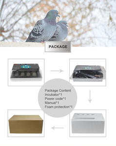 Wonegg HHD 12 lồng ấp <span class=keywords><strong>rcom</strong></span> lồng ấp trứng tự động hộp ấp trứng gà mái tự động - Product Image 4