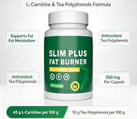 Capsules brûle-graisses pour femmes adultes, perte de poids, détox, stimulant du métabolisme, soulagement, acétyl-L-carnitine, extrait de thé vert, 30 capsules