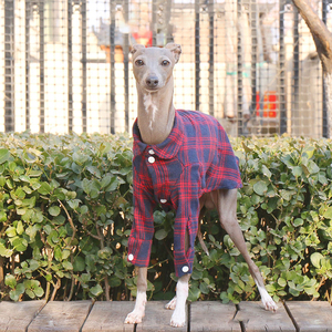 Nueva camisa de primavera para mascotas, chaqueta suave para perros, a la moda <span class=keywords><strong>con</strong></span> diseño de <span class=keywords><strong>galgo</strong></span> a cuadros, suéter, ropa de Dachshund - Product Image 6