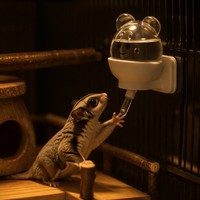 Bouteille d'eau magnétique sous vide 220 ml avec tube aimanté N45 en forme d'ours, en PC de qualité alimentaire, 4 couleurs, pour Sugar Glider et petits animaux