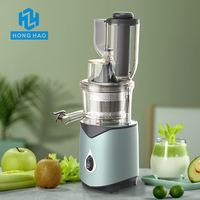 Fabrieksgroothandel Lawaai Brede Mond Kauwen Slow Juicer Citrus & Tarwegras Juicer Voor Thuiskeuken Gebruik Omgekeerde Functie