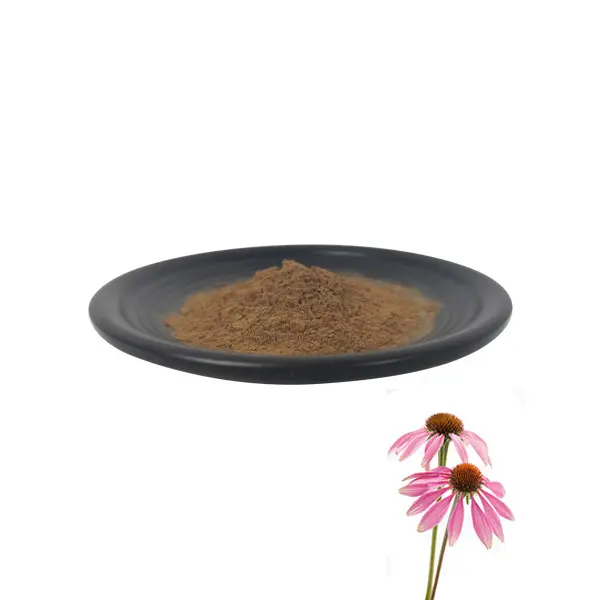 Low price Echinacea Angustifolia Extract Organic Echinacea Purpurea Powdered Echinacea Extract