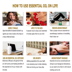 OEM Großhandel Private Label Körperpflege <span class=keywords><strong>Massage</strong></span>öle Bio-Teebaumöl Lavendel Reines Natürliches Eukalyptus-Wurzel Ätherisches Öl - Product Image 5