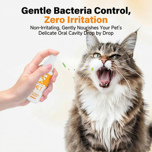 Spray rafraîchissant pour l'haleine des animaux de compagnie, éliminateur de tartre et de plaque dentaire, bain de bouche nettoyant pour les dents - Service OEM - Product Image 6