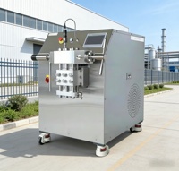 Pasteurisateur et homogénéisateur de lait automatique en acier inoxydable sanitaire haute pression avec moteur, prix compétitif