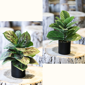 ต้นไม้บอนไซเทียมเทียมสีเขียวสำหรับตกแต่งบ้านสำนักงานห้องนั่งเล่น - Product Image 1