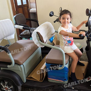 Vente en gros de tricycles électriques pour adultes <span class=keywords><strong>à</strong></span> 3 roues de 600W pour passagers et marchandises pousse-pousse automatique <span class=keywords><strong>à</strong></span> trois roues avec cabine - Product Image 4