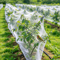 Filet anti-vent sur mesure pour la protection contre la grêle des vignobles, vergers, arbustes à baies, étangs à poissons et cerisiers