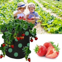 Sac de culture suspendu à 12 trous pour fraises, en feutre respirant, pour tomates, jardin et maison, toutes saisons, pour légumes à suspendre