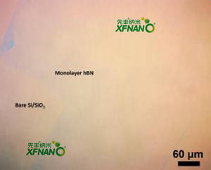 銅基板上の単層六角形窒化ボロン膜HBN膜2インチ * 1インチ - Product Image 2
