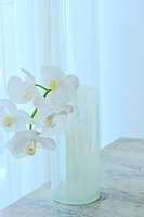Vase cylindrique en verre soufflé à la main bleu pour fleurs fraîches, vase floral décoratif moderne pour la décoration de table à la maison