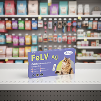 Test rapide de diagnostic vétérinaire pour les maladies des chats DVOT 99% sensible, test antigénique du virus de la léukémie féline (FeLV), équipement de diagnostic vétérinaire ISO