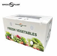 Emballages en carton ondulé personnalisés en gros, prix d'usine, boîtes d'emballage pour légumes et fruits avec trou de transport