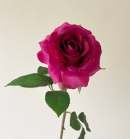 Centres de table de mariage les plus vendus fleurs 8cm unique Latex Real Touch Roses fleur pour la décoration de salon de maison de mariage