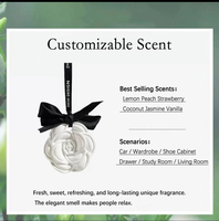 Rafraîchisseur d'air de voiture suspendu avec logo personnalisé diffuseur d'huile de parfum de maison en céramique parfumée, fleur en plâtre