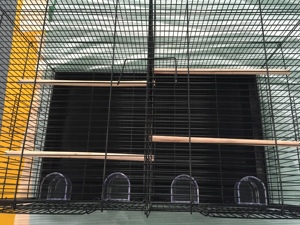 Cage pour chien Cage à oiseaux canari portable de haute qualité Plateau en plastique durable pour un nettoyage facile Boîte de rangement pour perroquets d'élevage simple Usine solide - Product Image 3