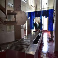 Machine d'abattage de moutons Équipement halal pour abattoir de moutons