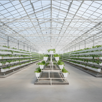 Système de culture hydroponique en A durable et écologique avec des bacs en PVC résistants aux UV pour une utilisation en extérieur et en intérieur