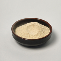 Poudre d'ail déshydratée de haute qualité et extrait d'ail en poudre pour des saveurs personnalisées