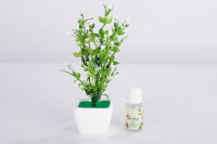 Diffuseur d'huiles essentielles en céramique de haute qualité 10 ml, kit d'aromathérapie écologique pour la maison avec plante artificielle, vente en gros