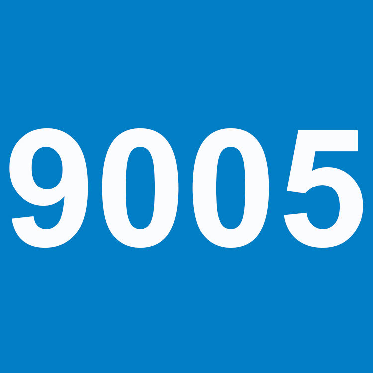 9005