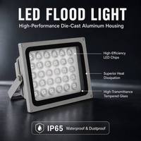 Projecteur LED 30W 50W 100W Extérieur Étanche IP65 en Aluminium Moulé 6000K Lumière d'appoint pour Jardin Stade Panneau Publicitaire Vente en Gros ODM