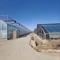 Serre en film plastique à tunnel unique isolée pour l'hiver avec rideau thermique, résistante au vent et à la neige, pour la culture de légumes dans les zones froides