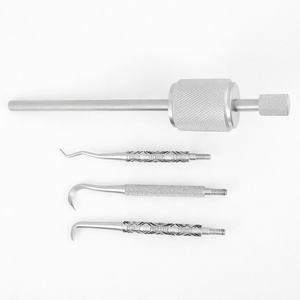 Juego de Excavadores Dentales con Puntas Intercambiables Manuales, Juego de Excavadores Dentales Profesionales con Puntas Intercambiables de Acero Inoxidable - Product Image 1