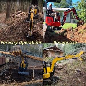 DP-12Pro 1.2t 1.2ton Giao hàng nhanh mini Digger Miễn phí dịch vụ hậu mãi nhỏ gọn Digger giá thực Mini pelleteuse với tập tin đính kèm - Product Image 4