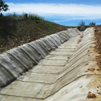 Rouleaux de tapis composite cimentaire géosynthétique en plastique flexible pour la protection des pentes, les barrages, les canaux et les jardins