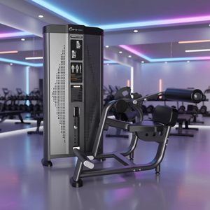 Máquina de Aislamiento Abdominal <span class=keywords><strong>Total</strong></span> con Peso de Placas DFT A619 de Alta Calidad para Gimnasios Comerciales, Suministro Directo de Fábrica - Product Image 4