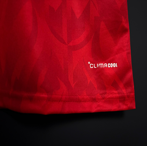 قمصان كرة قدم للكبار قابلة للتخصيص، 100% بوليستر، قابلة للتنفس، تي شيرت للجنسين، خدمات تصنيع حسب الطلب، قميص منتخب سويسرا الجديد 2026 - Product Image 4