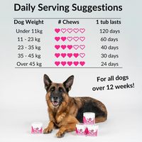Comprimés à croquer multivitaminés pour chats et chiens, best-seller transfrontalier, avec soutien immunitaire et aide contre les démangeaisons, possibilité de fabrication OEM