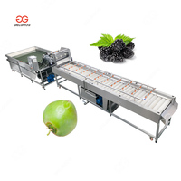 Fruit- en groentewasser, reiniger, snijmachine, jonge kokosnoot was- en snijproceslijn, machines voor het wassen van bessen