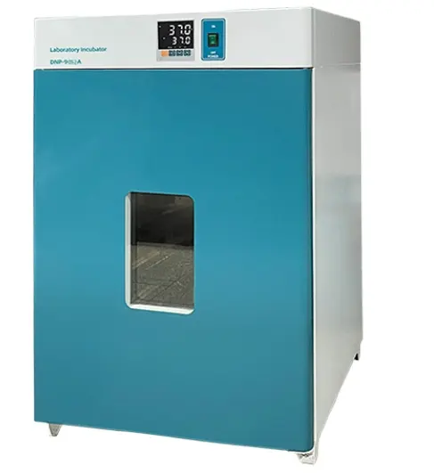 DNp9272a/270L phòng thí nghiệm phòng thí nghiệm electro-nhiệt ổn định nhiệt độ phòng thí nghiệm lồng ấp