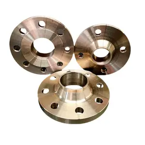 ASME B 16.5 Ti Gr2 GR12 GR5 titanium flange