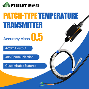 Sonde en acier inoxydable FIMEET FMT PT100 100 mm/200 mm, câble de 2 m, capteur de température pour barbecue, garantie 1 an, protection IP65, haute précision - Product Image 2