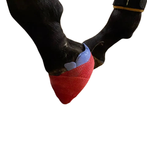 Top Seller 3 Inci 4Yard Equine Hoof Cast untuk Perawatan Kuda <span class=keywords><strong>Vet</strong></span> <span class=keywords><strong>Wrap</strong></span> Perban Tape untuk Kuda - Product Image 6