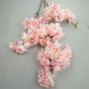 46 "פריחת דובדבן כפול גזע [ef3699] - Product Image 4