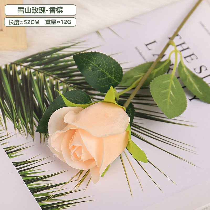 Silk Snow Mountain Rose - Champagne