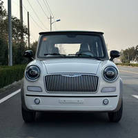 Gran Oferta 2026: Nuevo Coche Eléctrico XEV Yoyo E-car Pro de 2 Plazas, 200 km de Autonomía, Mini Coche Eléctrico para Adultos, Impresión 3D, Vehículo de Nueva Energía