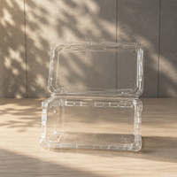 Boîte en plastique PET transparente jetable rectangulaire avec finition gaufrée pour l'emballage des fruits