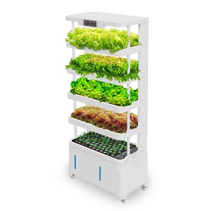 Système de culture hydroponique verticale pour jardin intérieur, machine intelligente à 5 niveaux pour la culture de légumes pour les amateurs GN08, culture de légumes GN0 - Product Image 2