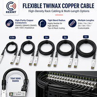 KEXINT 10GBASE-CU 1M 10G SFP+ zu SFP+ Passives DAC Twinax-Kabel mit EEPROM 30AWG Kupfer-Verbindungskabel für ToR-Server-Stacking
