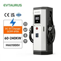 Estación de Carga para Vehículos Eléctricos de 60-240 kW de Potencia Máxima, 1000 V, OCPP, IP54, CCS2, CCS1, GBT, NACS, Resistente a la Intemperie